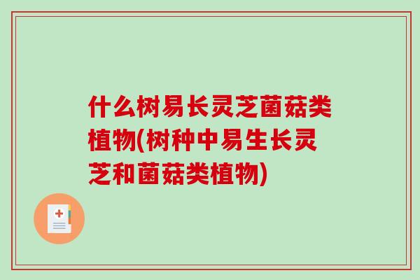 什么树易长灵芝菌菇类植物(树种中易生长灵芝和菌菇类植物) 什么树易长灵芝菌菇类植物(树种中易生长灵芝和菌菇类植物)