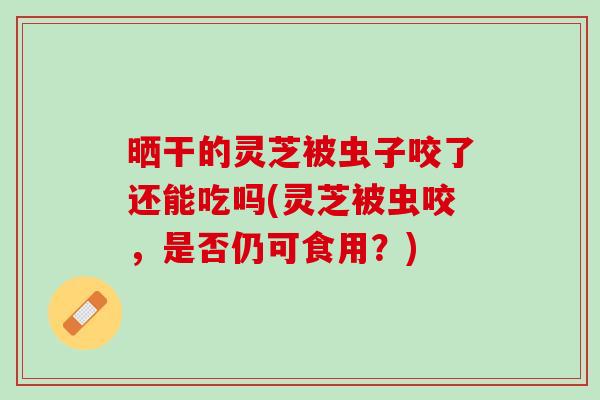 晒干的灵芝被虫子咬了还能吃吗(灵芝被虫咬,是否仍可食用?) 晒干的灵芝被虫子咬了还能吃吗(灵芝被虫咬,是否仍可食用?)