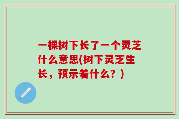 一棵树下长了一个灵芝什么意思(树下灵芝生长,预示着什么?) 一棵树下长了一个灵芝什么意思(树下灵芝生长,预示着什么?)