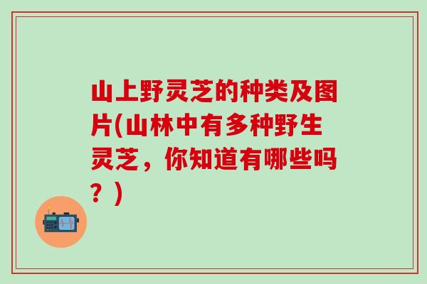 山上野灵芝的种类及图片(山林中有多种野生灵芝,你知道有哪些吗?) 山上野灵芝的种类及图片(山林中有多种野生灵芝,你知道有哪些吗?)