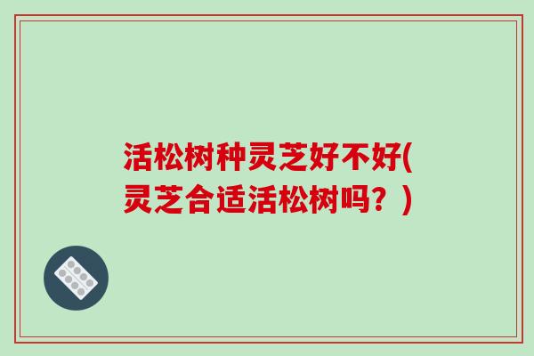 活松树种灵芝好不好(灵芝合适活松树吗?) 活松树种灵芝好不好(灵芝合适活松树吗?)