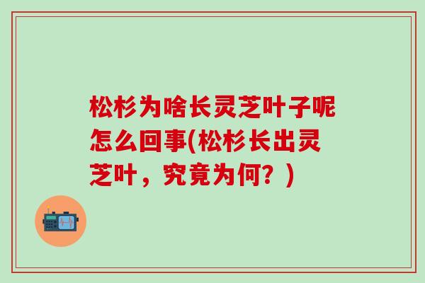 松杉为啥长灵芝叶子呢怎么回事(松杉长出灵芝叶，究竟为何？)