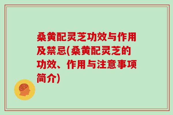 桑黄配灵芝功效与作用及禁忌(桑黄配灵芝的功效、作用与注意事项简介)