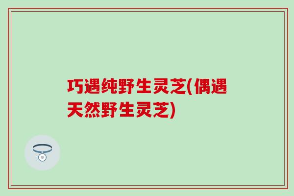 巧遇纯野生灵芝(偶遇天然野生灵芝) 巧遇纯野生灵芝(偶遇天然野生灵芝)