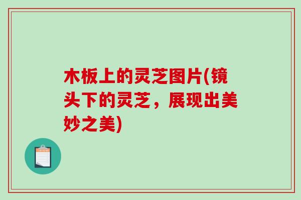 木板上的灵芝图片(镜头下的灵芝,展现出美妙之美) 木板上的灵芝图片(镜头下的灵芝,展现出美妙之美)