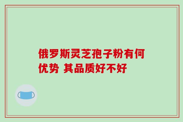 俄罗斯灵芝孢子粉有何优势 其品质好不好