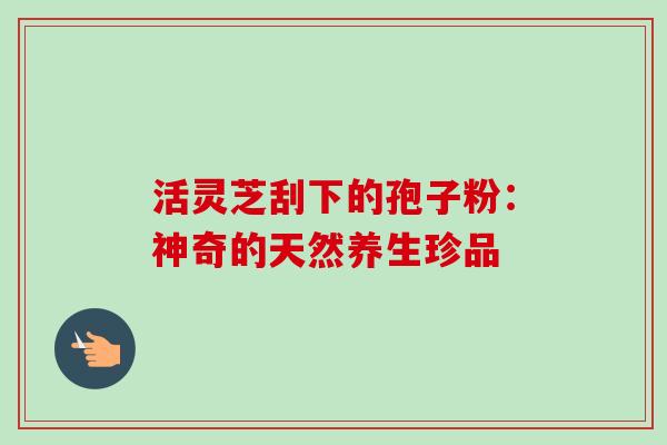 活灵芝刮下的孢子粉:神奇的天然养生珍品 活灵芝刮下的孢子粉:神奇的天然养生珍品