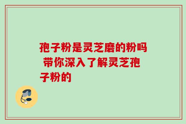 孢子粉是灵芝磨的粉吗 带你深入了解灵芝孢子粉的