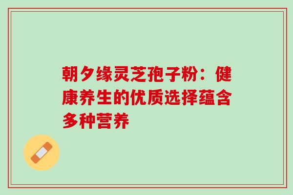 朝夕缘灵芝孢子粉:健康养生的优质选择蕴含多种营养 朝夕缘灵芝孢子粉:健康养生的优质选择蕴含多种营养