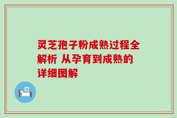 灵芝孢子粉成熟过程全解析 从孕育到成熟的详细图解 灵芝孢子粉成熟过程全解析 从孕育到成熟的详细图解