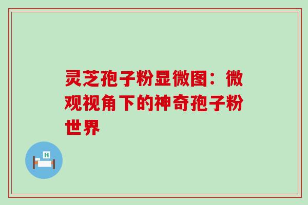 灵芝孢子粉显微图:微观视角下的神奇孢子粉世界 灵芝孢子粉显微图:微观视角下的神奇孢子粉世界