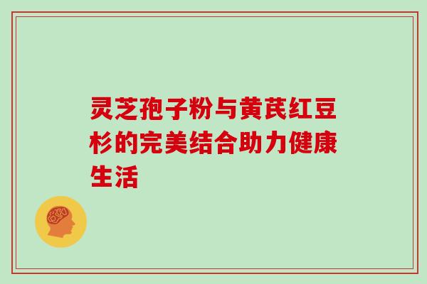 灵芝孢子粉与黄芪红豆杉的完美结合助力健康生活 灵芝孢子粉与黄芪红豆杉的完美结合助力健康生活