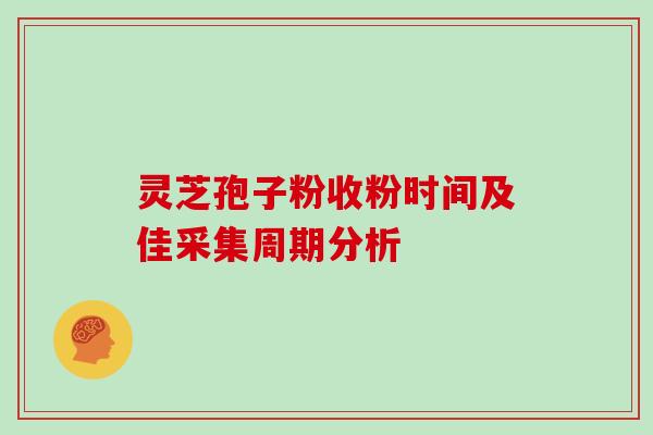 灵芝孢子粉收粉时间及佳采集周期分析 灵芝孢子粉收粉时间及佳采集周期分析