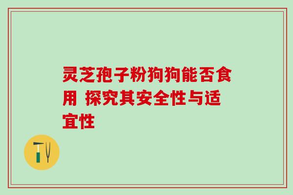 灵芝孢子粉狗狗能否食用 探究其安全性与适宜性 灵芝孢子粉狗狗能否食用 探究其安全性与适宜性