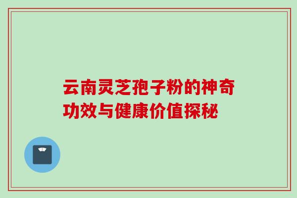 云南灵芝孢子粉的神奇功效与健康价值探秘