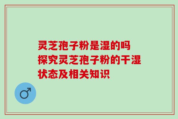 灵芝孢子粉是湿的吗 探究灵芝孢子粉的干湿状态及相关知识 灵芝孢子粉是湿的吗 探究灵芝孢子粉的干湿状态及相关知识