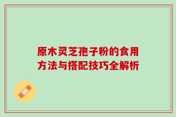 原木灵芝孢子粉的食用方法与搭配技巧全解析 原木灵芝孢子粉的食用方法与搭配技巧全解析