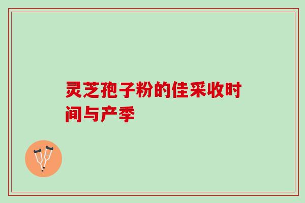 灵芝孢子粉的佳采收时间与产季