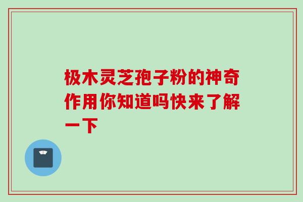 极木灵芝孢子粉的神奇作用你知道吗快来了解一下 极木灵芝孢子粉的神奇作用你知道吗快来了解一下