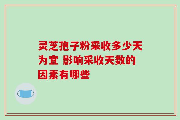 灵芝孢子粉采收多少天为宜 影响采收天数的因素有哪些 灵芝孢子粉采收多少天为宜 影响采收天数的因素有哪些