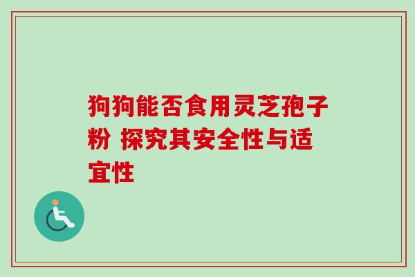 狗狗能否食用灵芝孢子粉 探究其安全性与适宜性