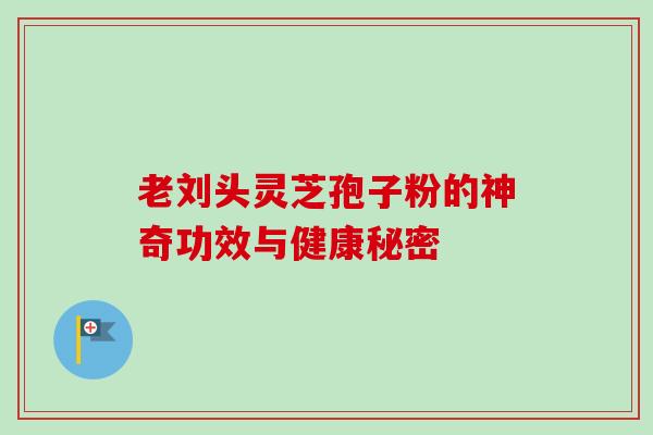 老刘头灵芝孢子粉的神奇功效与健康秘密 老刘头灵芝孢子粉的神奇功效与健康秘密
