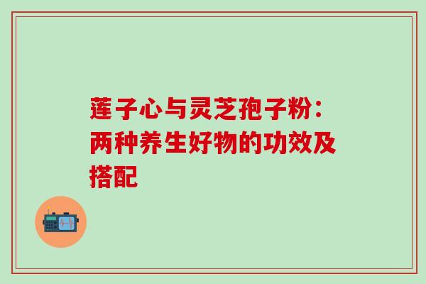 莲子心与灵芝孢子粉:两种养生好物的功效及搭配 莲子心与灵芝孢子粉:两种养生好物的功效及搭配