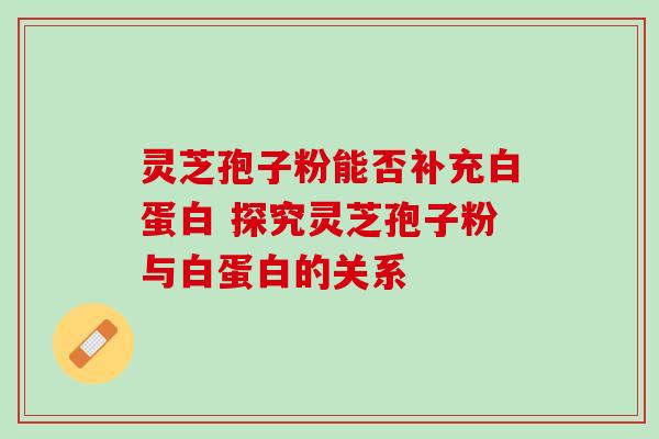 灵芝孢子粉能否补充白蛋白 探究灵芝孢子粉与白蛋白的关系 灵芝孢子粉能否补充白蛋白 探究灵芝孢子粉与白蛋白的关系
