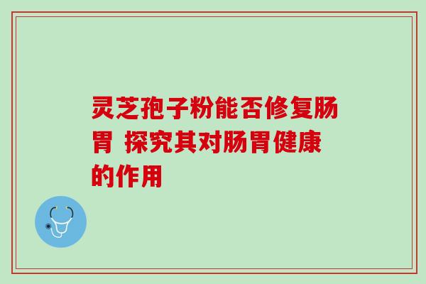 灵芝孢子粉能否修复肠胃 探究其对肠胃健康的作用 灵芝孢子粉能否修复肠胃 探究其对肠胃健康的作用