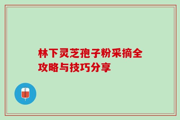 林下灵芝孢子粉采摘全攻略与技巧分享