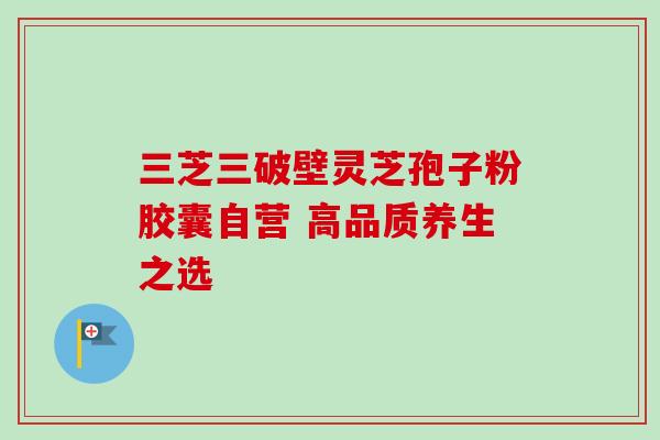 三芝三破壁灵芝孢子粉胶囊自营 高品质养生之选