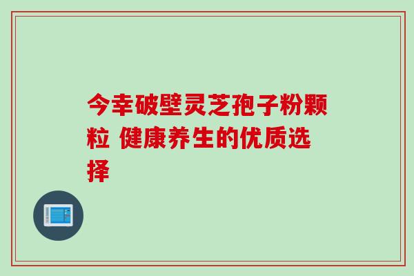 今幸破壁灵芝孢子粉颗粒 健康养生的优质选择 今幸破壁灵芝孢子粉颗粒 健康养生的优质选择