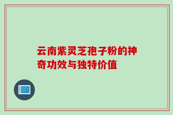 云南紫灵芝孢子粉的神奇功效与独特价值