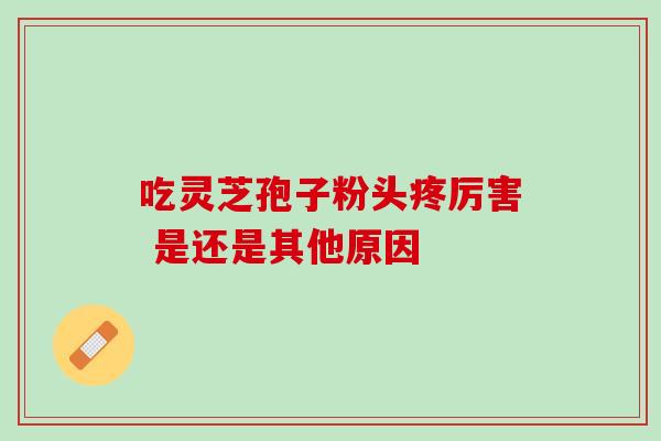 吃灵芝孢子粉头疼厉害 是还是其他原因 吃灵芝孢子粉头疼厉害 是还是其他原因