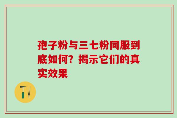 孢子粉与三七粉同服到底如何?揭示它们的真实效果 孢子粉与三七粉同服到底如何?揭示它们的真实效果