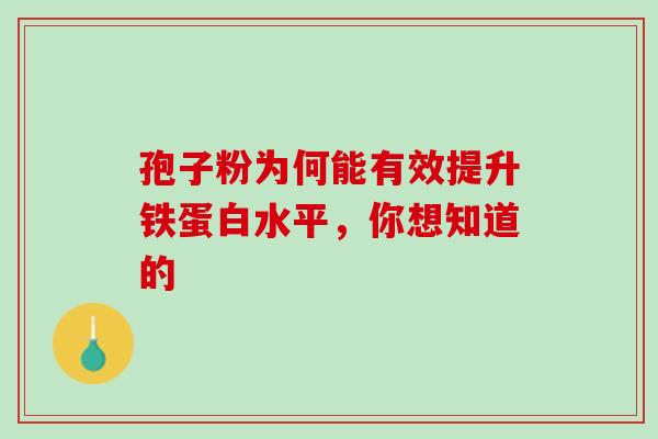 孢子粉为何能有效提升铁蛋白水平，你想知道的