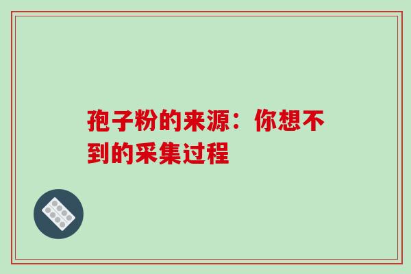孢子粉的来源：你想不到的采集过程