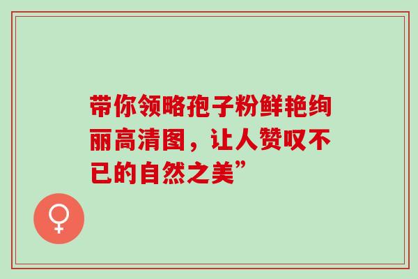 带你领略孢子粉鲜艳绚丽高清图，让人赞叹不已的自然之美”